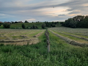 impressionen_4