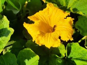 impressionen_9